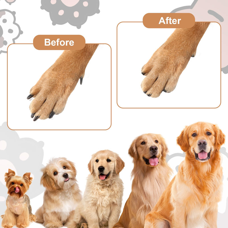Dog Nail File with 6Pcs Replaceable Filing Disc, Dog Scratch Board for Safe and Easy Nail Care, Dog Nail Scratch Board Ensures Smooth and Healthy Nails for Dogs and Cats - PawsPlanet Australia