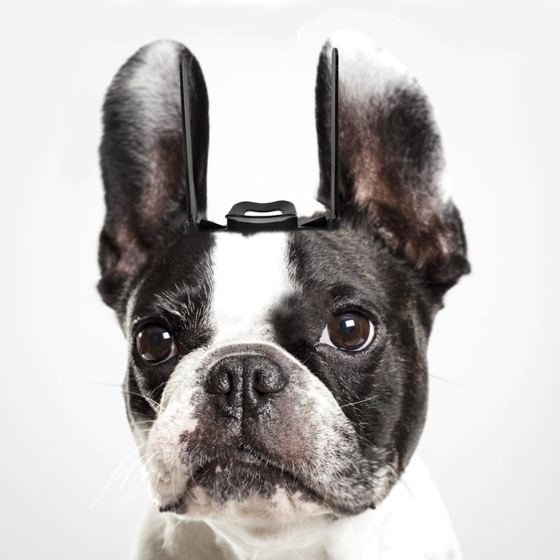 Angoily Dog Ear Posting Kit Doberman Ear Fixed Correction Vertical Holder Dog Ear Stand Support Tool Puppy Ear Support Tape Dog Ear Erector Pet Puppy Accessory - PawsPlanet Australia