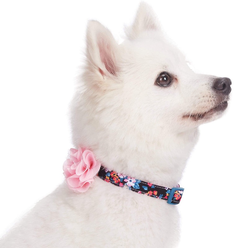 Blueberry Pet Made Well Elegant Floral Print Adjustable Dog Collar in Sleek Black with Pink Artificial Silk Flower, X-Small, Neck 7.5"-10"