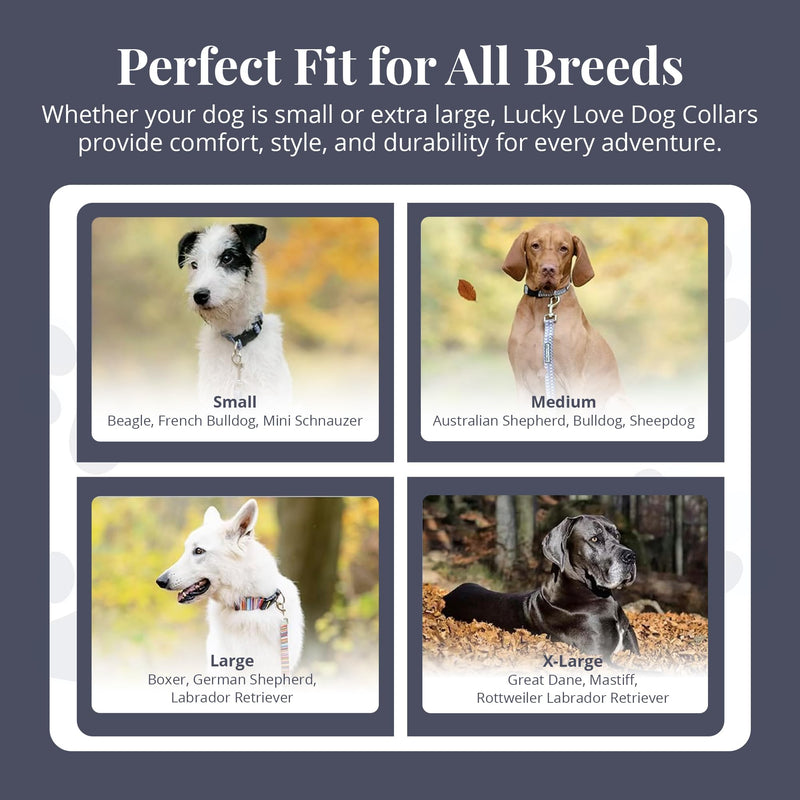 Lucky Love Dog Martingale Dog Collar - Adjustable, No-Slip, Durable, & Soft Webbing Collar for Male and Female Dogs Ideal for Training & Walking - Blackbird, Medium Medium Collars (13-21") - PawsPlanet Australia