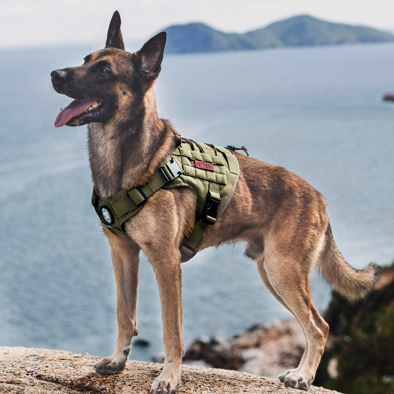 Tactical Dog Harness, Full Body Dog Harness with Handle Heavy Duty Dog Vest for Hiking Training Outdoor Dogs(Ranger Green, Large) L - PawsPlanet Australia