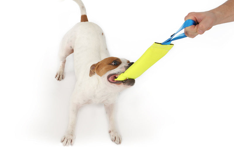 Dog Bite Tug Toy 10 inches - Durable, Interactive Toys for Medium to Large Dogs - Perfect for Tug of War, Fetch & Puppy Training - Safe Fire Hose Dog Tug with Strong Handle - Tough Floating Pull Toy - PawsPlanet Australia