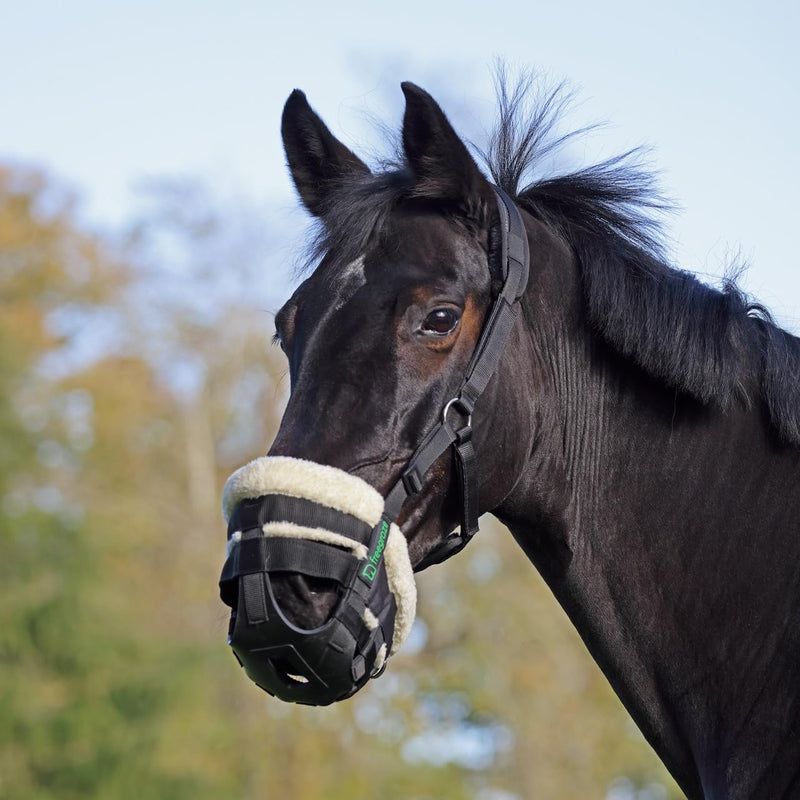 Shires FreeGraze Airflow Grazing Muzzle (Black, Full) Black