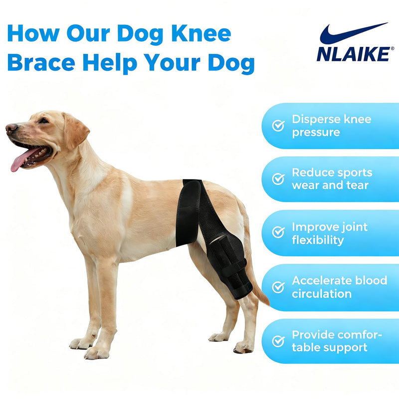 Dog Knee Brace for Torn ACL,Dog ACL Braces with Side Stabilizers,Adjustable Dogs Leg Brace Suitable for 4 Limbs,Dogs Hip Brace for Arthritis Relief, Joint Stability,Reduces Pain and Inflammation M