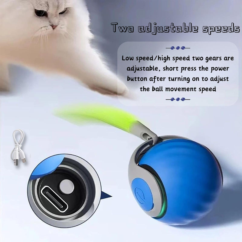 Speedy 2.0 Tail, Speedy Toy Tail Cat, Speedy 2.0 Tail Cat Toy, New Interactive Cat Ball Toy, Smart Cat Toys Ball, Moving Cat Toy Ball with Tail, Two Speed Adjustment (Blue) Blue - PawsPlanet Australia