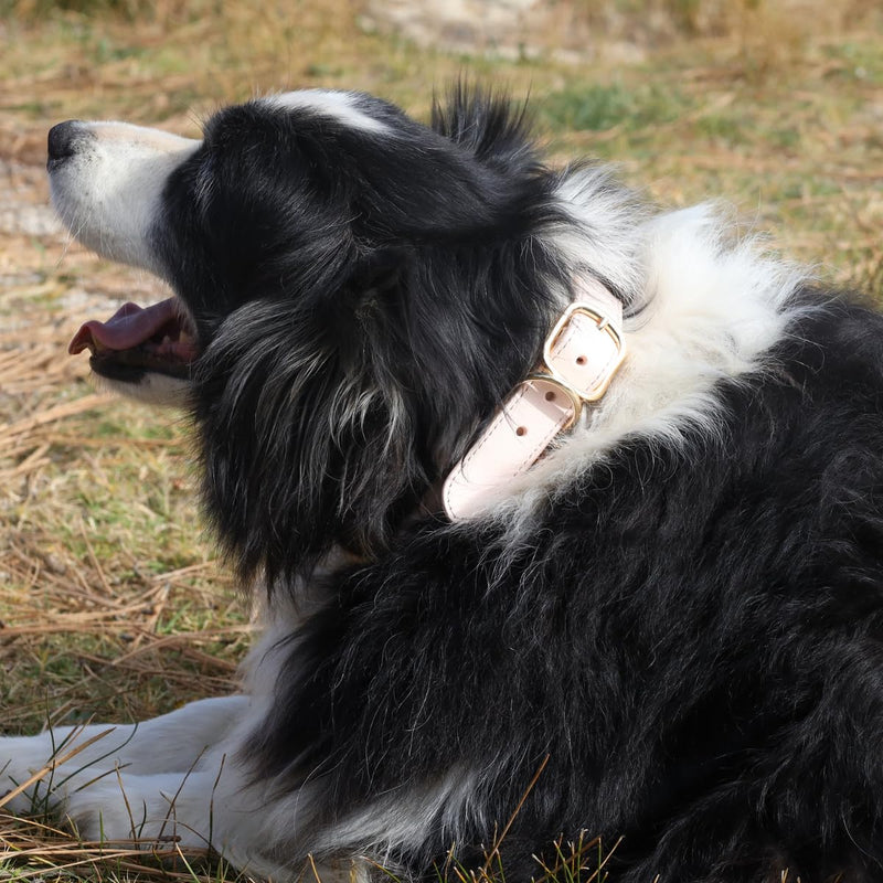 Handcrafted Cotton Rope Dog Collar for Small, Medium & Large Dogs – Soft, Hypoallergenic & Adjustable, Leather Reinforced with Rust-Proof Zinc Clasp. Perfect for Everyday Walks, Training & Weddings Light Pink Large (15" - 18") - PawsPlanet Australia