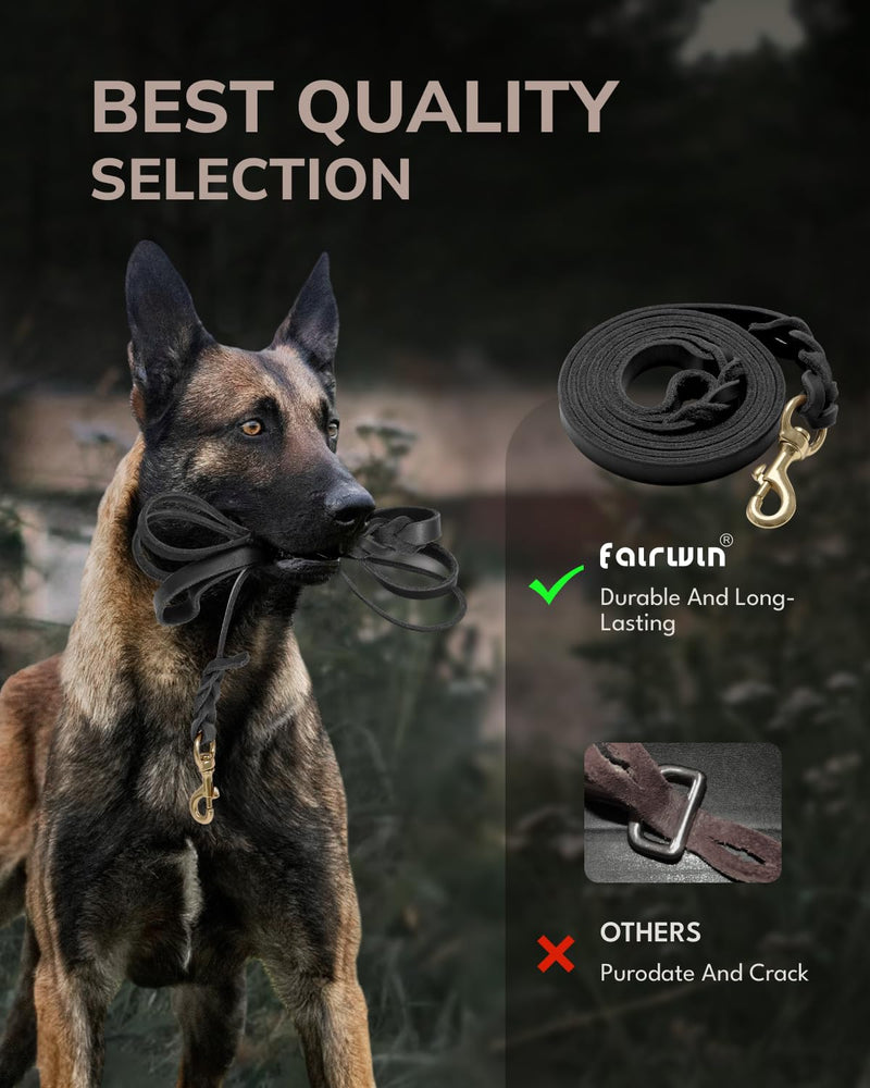 FAIRWIN Leather Dog Leash 6 Foot - Braided Military Grade Heavy Duty Dog Leash for Large Medium Small Dogs Training and Walking (Black, XL:1" x 6ft) XL - 6 ft x 1 inch Black - PawsPlanet Australia
