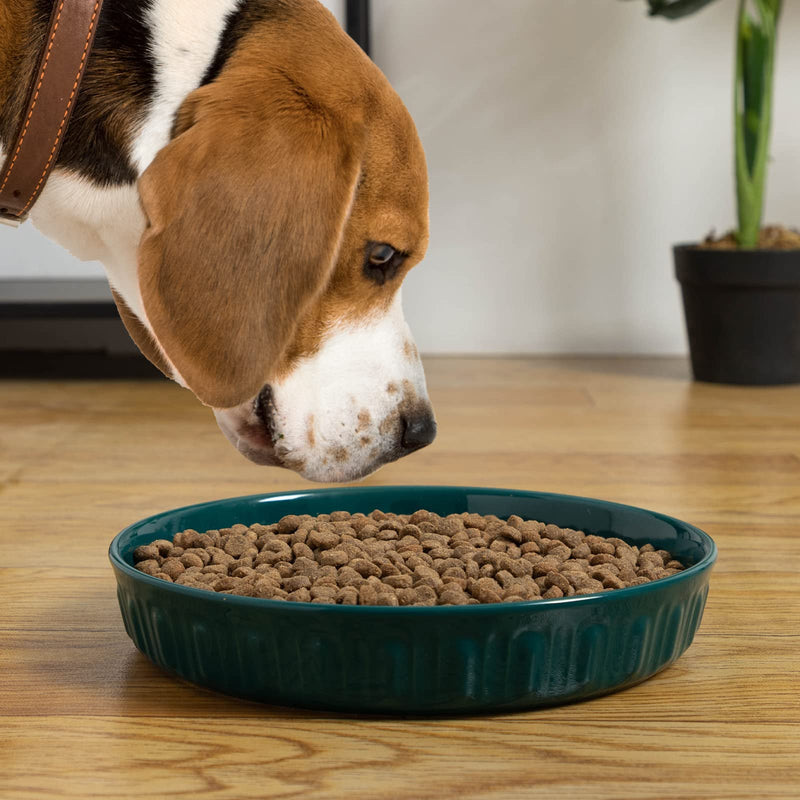 FE Ceramic Pet Dog Bowls - 10.5" Extra Large and Weighted Pet Food and Water Feeder for Small, Medium and Large Breeds, Non-Slip, Dishwasher Safe Turquoise - PawsPlanet Australia