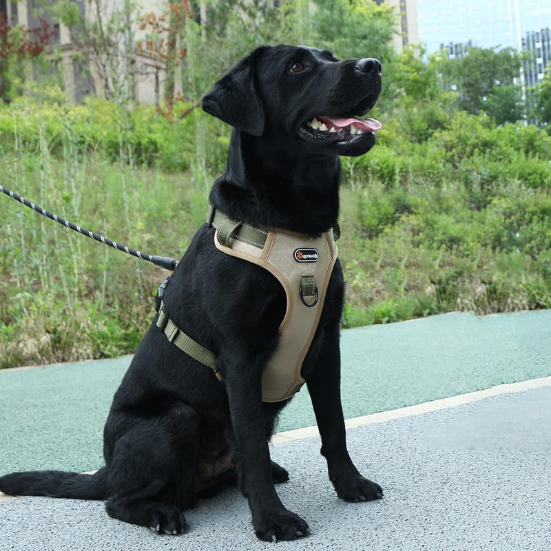 Tactical Dog Harness and Leash Set for Extra Large Dogs, No Pull Heavy Duty Pet Vest Collar with Handle, Reflective Walking Harnesses with Leashes, Anti Escape Chest Collars for Puppy XL KHAKI GREEN SET - PawsPlanet Australia