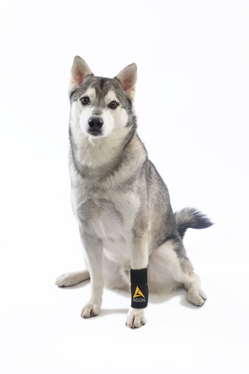 Agon® Dog Canine Front Leg Brace Paw Compression Wraps with Protects Wounds Brace Heals and Prevents Injuries and Sprains Helps with Loss of Stability Caused by Arthritis (Large/X-Large) Large/X-Large - PawsPlanet Australia