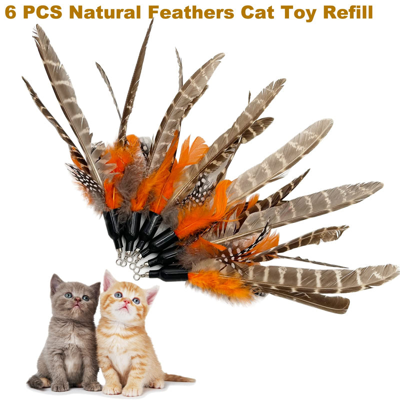 Cat Feather Toys Refills Cat Wand Replacement, 6 PCS Handmade Natural Da Bird Feathers Refill, Cat Toy Feather Replacement for Indoor Cats (B) B-6 PCS Feather Refills