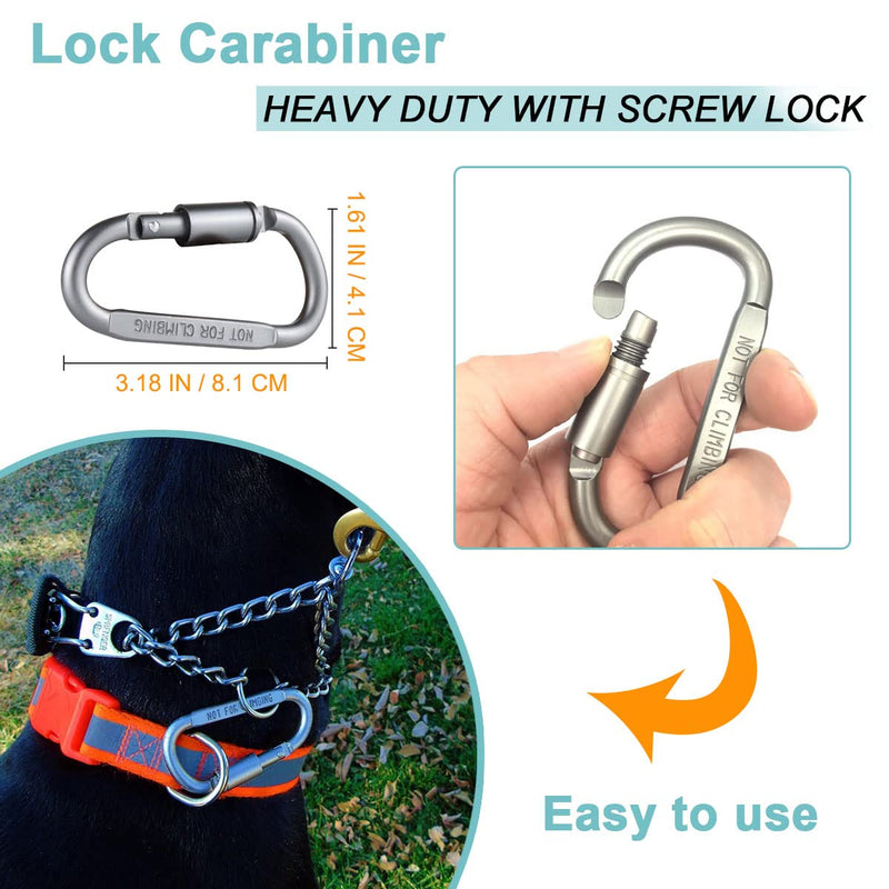 Mayerzon Backup Collar, Double Ended Clip and Carabiner for Prong Collar, Pinch Collar and Dog Harness, Safety Use for Walking and Training (L, Black) Large,21.7in, Neck 16-20in - PawsPlanet Australia