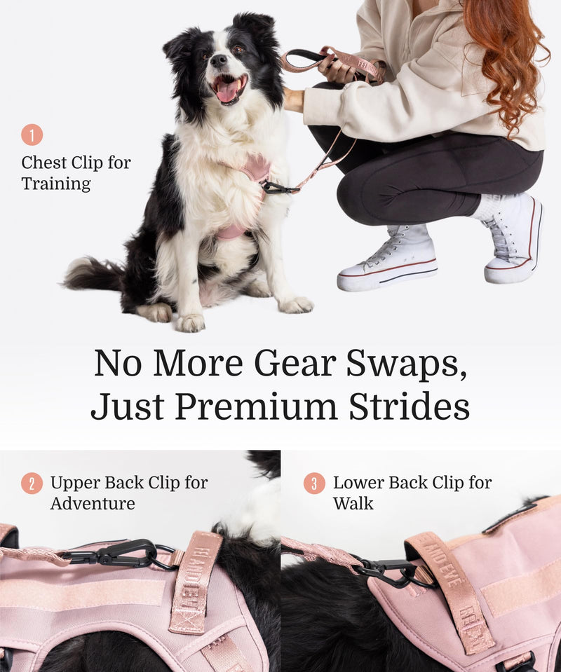 2025 New Edition, Fei & Eve Classic Dog Harness - Quick-Release Buckles | 3-Point No-Pull Control | Heavy-Duty 900D Nylon | Dual Safety Handles | Breathable Mesh | Adjustable Fit | Large,Pink Pink L - PawsPlanet Australia
