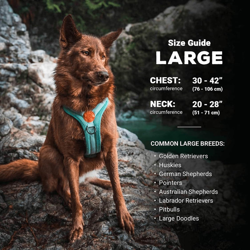 Wilderdog Lightweight Dog Harness with Reflective Straps - Large - Huckleberry - PawsPlanet Australia