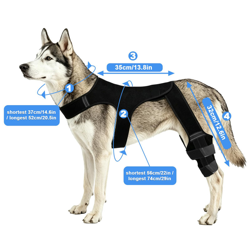 Penitue Dog Knee Brace Hind Leg, Adjustable Dog Hind Leg Braces Support System with 4 Stabilizers & Hip Support (XL) XL