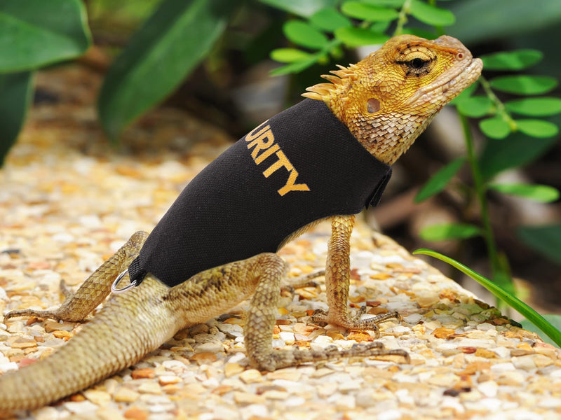 Bearded Dragon Lizards Clothes with Leash,Set for Small Pets Reptiles Guinea Pig Apparel Lizards Outdoor Walking Training Harness Leash Hand-Made Security Costume Photo Prop