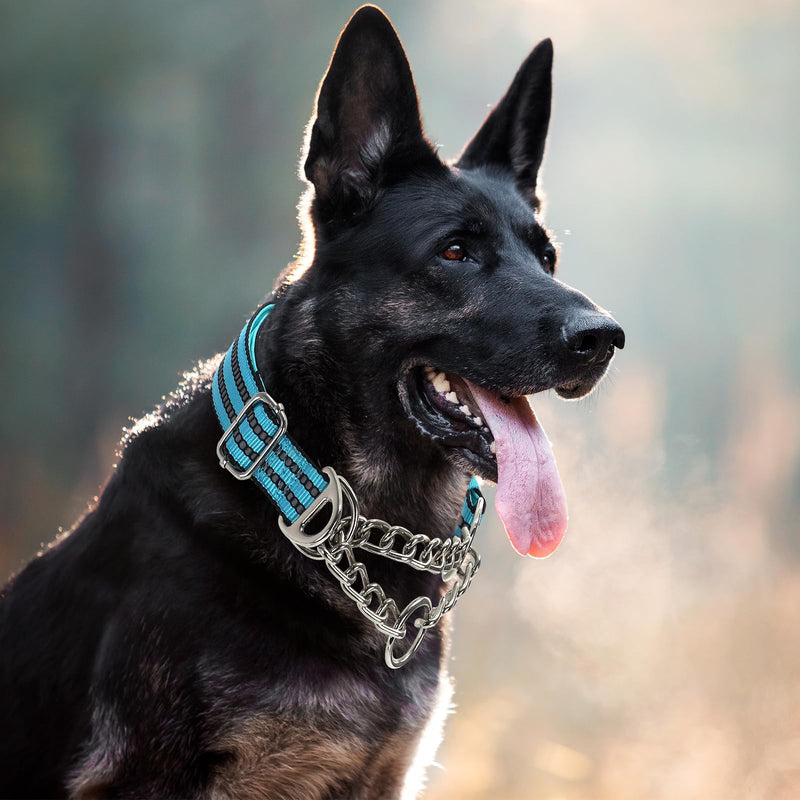 Reflective Martingale Collar for Dogs with Steel Chain, Adjustable No Pull Dog Training with Soft Padded for Large Breed Dogs, Medium, XL, XXL Walking Collar (Blue L) B L(Neck15"-22")