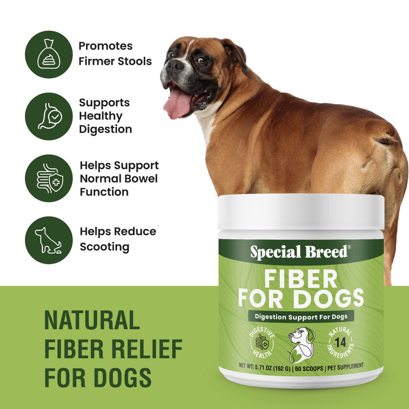 Fiber for Dogs – 9X Fiber Power - Digestive Supplement Powder with 14 Natural Ingredients – Supports Firm Stools & Gut Health Treatment– 60 Scoops