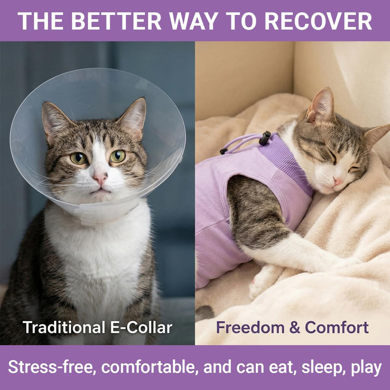 Cat Bodysuit After Surgery M Purple Recovery Suit Cat Bodysuit for Cat After Surgery and Castration, Cat Clothing Protective Suit Suitable for Recovery and Care