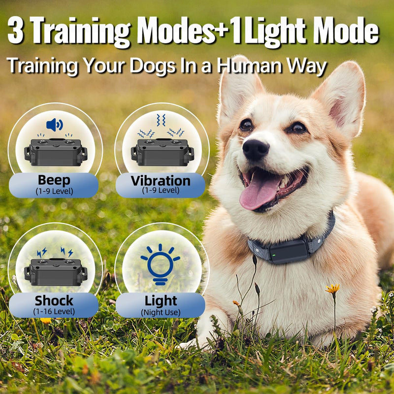 Dog Shock Collar with Remote Control Shock Collar for Dogs, 4 Training Modes Vibration, Beep, Shock, Flashlight IPX7 Waterproof Keypad Lock Rechargeable E-Collar for All Breed - PawsPlanet Australia