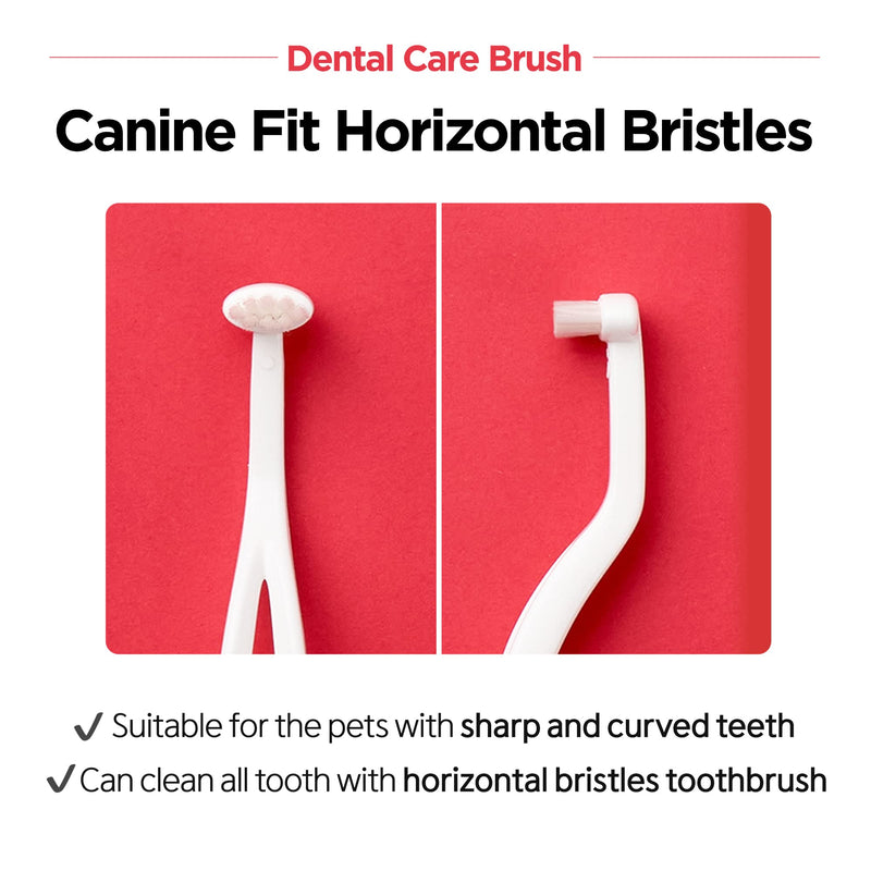 JAYU PET Dental Care Brush [Soft & Firm Bristles] - Toothbrush for Cat and Small Dogs, Removing Old Plaque and Tartar, Cat Dental Care, Cat Teeth Brushing & Easy Cleaning - PawsPlanet Australia