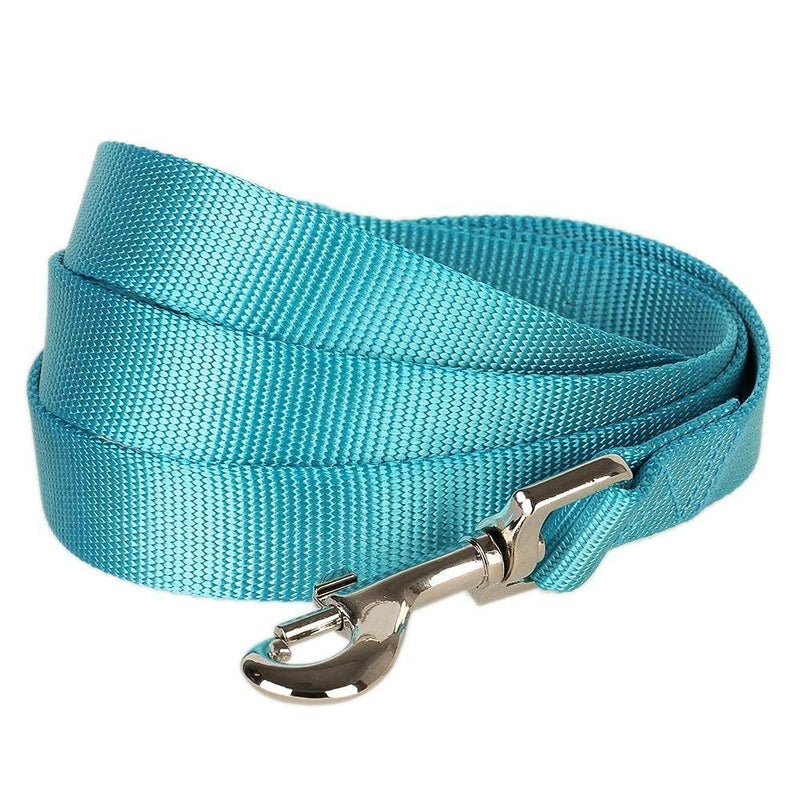 Blueberry Pet Essentials Bundle Set - Small Turquoise Dog Collar + 5 ft x 5/8" Dog Leash - PawsPlanet Australia