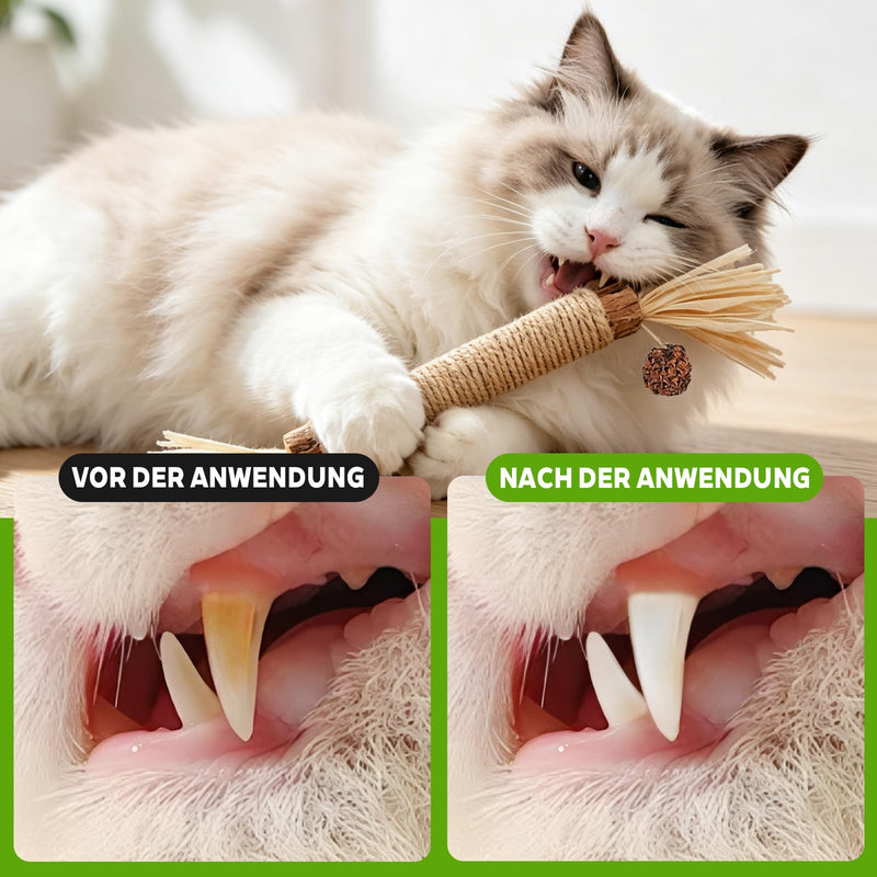 LATRAT 6 Catnip Sticks, Cat Dental Care and Against Bad Breath, Safe Cat Chew Toy for Stress Relief, Catnip Toy for Kittens & Cats