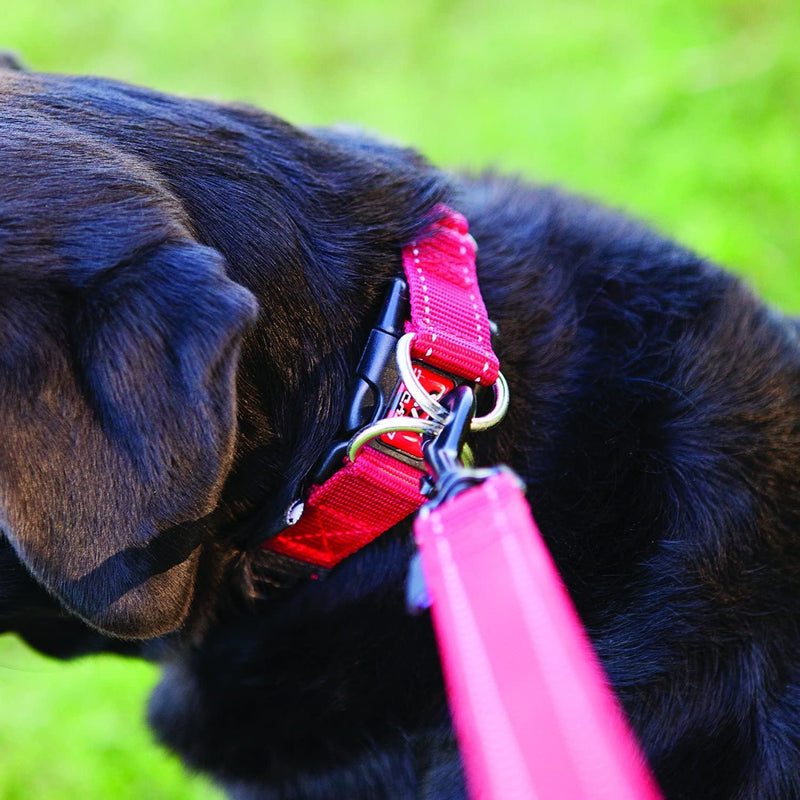 EzyDog Double Up Premium Nylon Dog Collar with Stitching - Double D-Rings for Superior Strength, Safety, and Comfortability - Non-Rusting and Includes an ID Attachment (Medium, Corduroy) m - PawsPlanet Australia