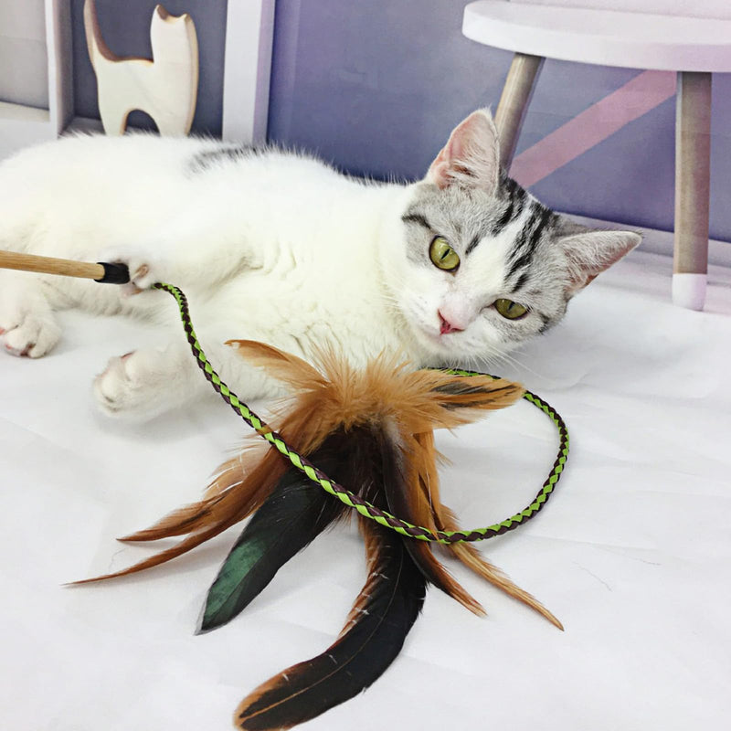 Cat Wand Toy, 2 PCS Interactive Cat Feather Wands with Bells Feather Toys for Teaser Play and Chase Exercise with Kitten - PawsPlanet Australia