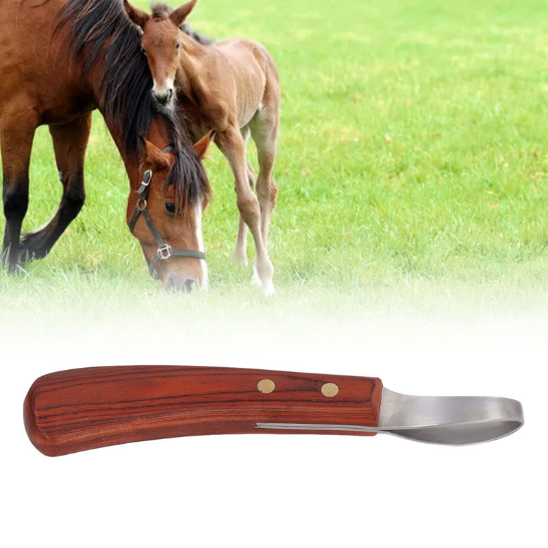 Stainless Steel Hoof Knife with Wooden Handle, Right-Handed Hoof Knife Double-Edged Hoof Knife Professional Farrier Tool for Horse, Cow & Goat Hoof Trimming, Shoeing & Grooming. (A) A - PawsPlanet Australia