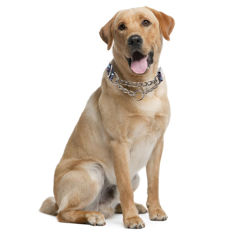 Stainless Steel Chain Martingale Collar for Dogs, No Pull Slip Cinch Choker Choke Collar Training Escape Proof Heavy Duty Dog Collar for Small Medium Large Pet Boy Male Dogs, Skull L L(Neck19-24") - PawsPlanet Australia