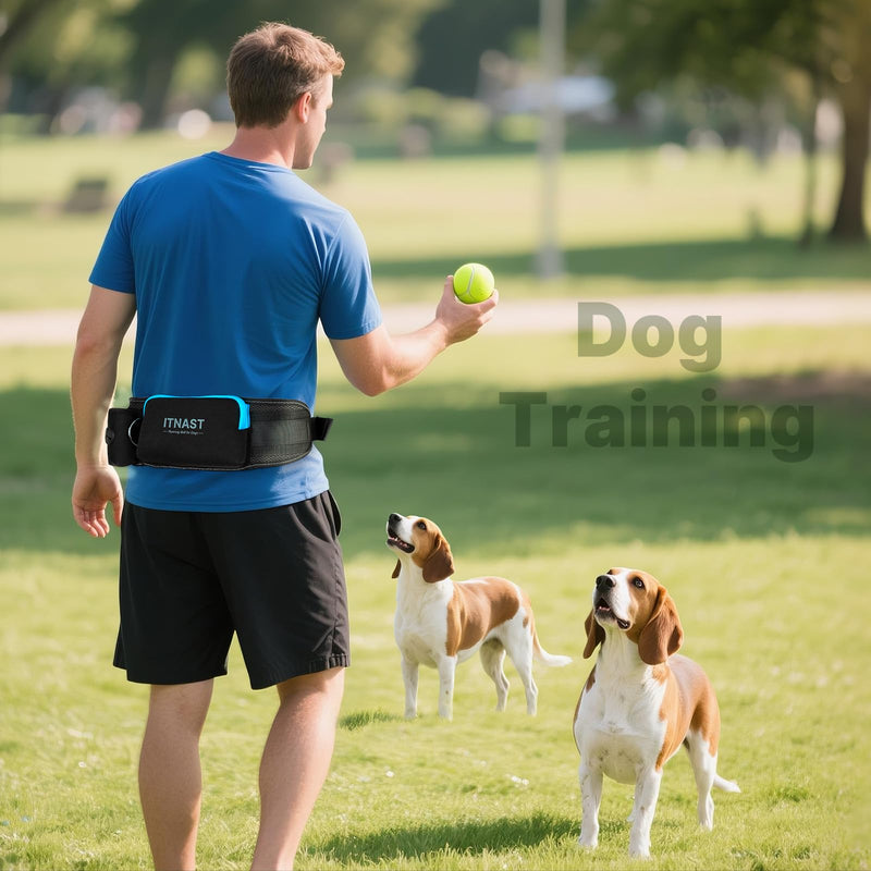 Hands Free Double Dog Leash Tangle Free, Lumbar Support Dual Leash for Medium Large 2 Dogs With Bungee, Waist Bag, Padded Handles,Reflective Stitching for Dog Walking, Jogging, Hiking, Training