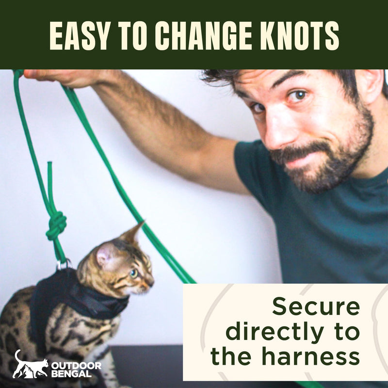 Long Rope Leash for Cats, Small Dogs & Puppies – Heavy Duty, Tangle-Free Lead for Walking, Training & Outdoor Play – Durable Nylon Pet Leash (Green 14FT) Green 14 ft - PawsPlanet Australia