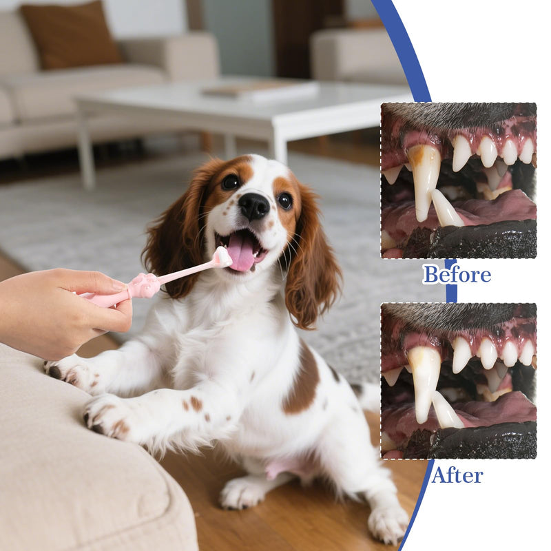 2-Pack 3 Sided Dog Toothbrush for Small & Medium Dogs | Professional Puppy Dental Care Toothbrush with Advanced Bristle Technology | Effective Plaque Remover, Easy to Use Pet Oral Health Supplies - PawsPlanet Australia