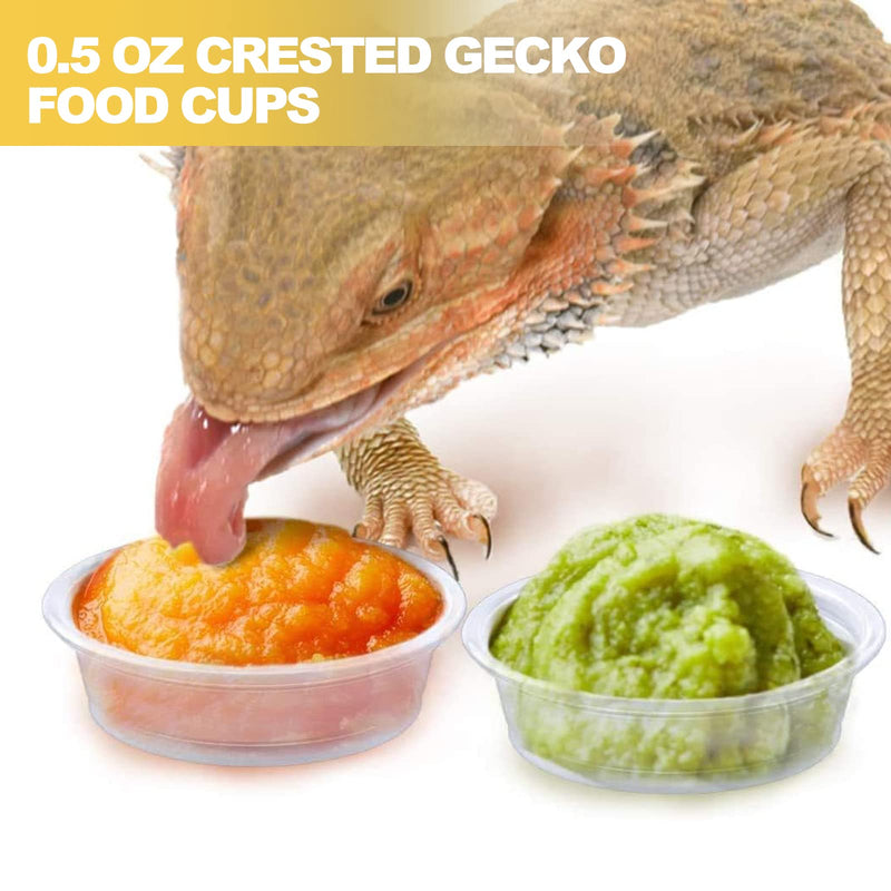 200 pcs 0.5oz Crested Gecko Food and Water Feeding Cups | Reptile Feeder Bowls | for Lizard and Other Small Pet Ledge Accessories Supplies - PawsPlanet Australia