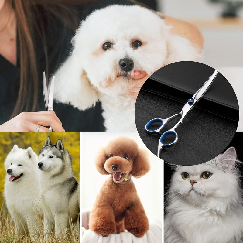 “6.5”Stainless Steel Pet Grooming Scissors Set – Safety Round Tip Curved & Up Curved Shears for Dog Cat Hair Trimming - PawsPlanet Australia