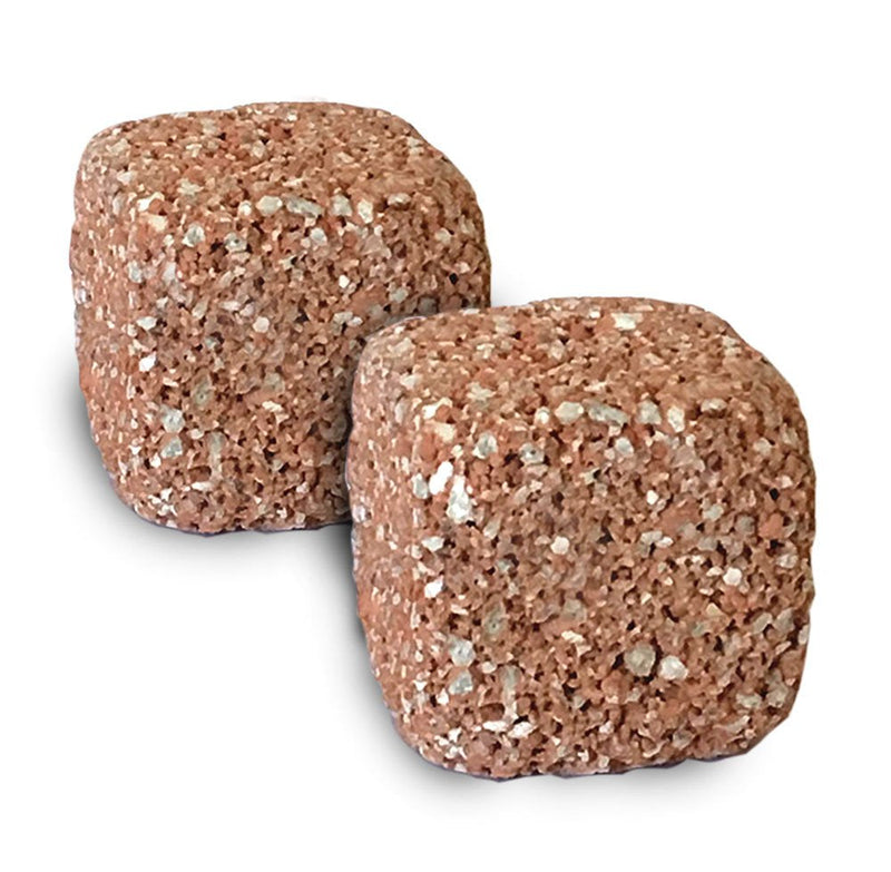 Aquarium Stone for Natural Water Clarification and Odor Removal Featuring Beneficial Bacteria (Nano) 2 Pack Nano - PawsPlanet Australia
