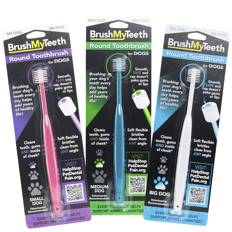 Brush My Teeth Small Dog Toothbrush, Rounded Brush Head -Soft Flexible Bristles, Safe and Gentle Brushing for Small Dogs, Small Breeds and Puppy, Daily Brushing Adds Years of Healthy Life, Multicolor 1 Count (Pack of 1)