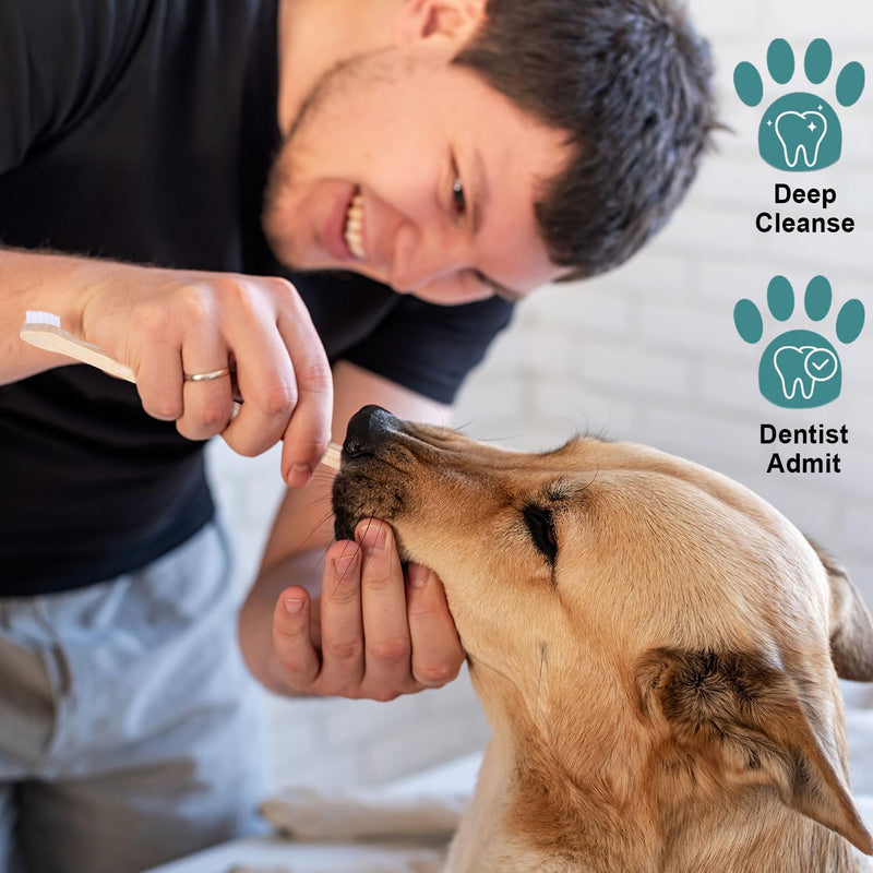 Bamboo Dog & Pet Toothbrushes, Two Sided Bamboo Toothbrush for Small and Large Dogs & Cats