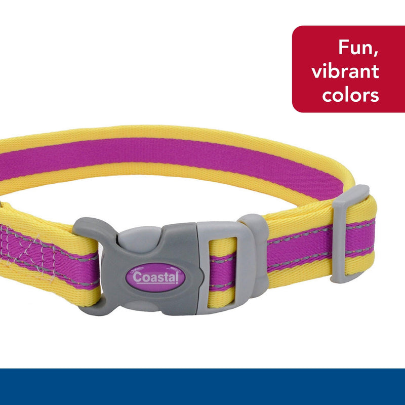 Coastal Pet - Pro - Reflective Adjustable Dog Collar, Purple with Yellow, 1" x 14-20" 1" x 14-20" (Pack of 1) - PawsPlanet Australia
