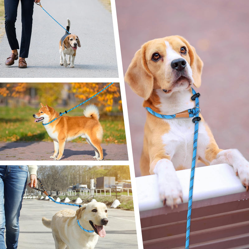 lynxking Slip Lead Dog Leash Reflective, Heavy Duty Comfortable Strong Rope Leash for Large Medium Small Dogs No Pull Training (Light Blue, Large 1/2in x 6ft-Slip Lead) 1PC Large 1/2in x 6ft Light Blue - PawsPlanet Australia