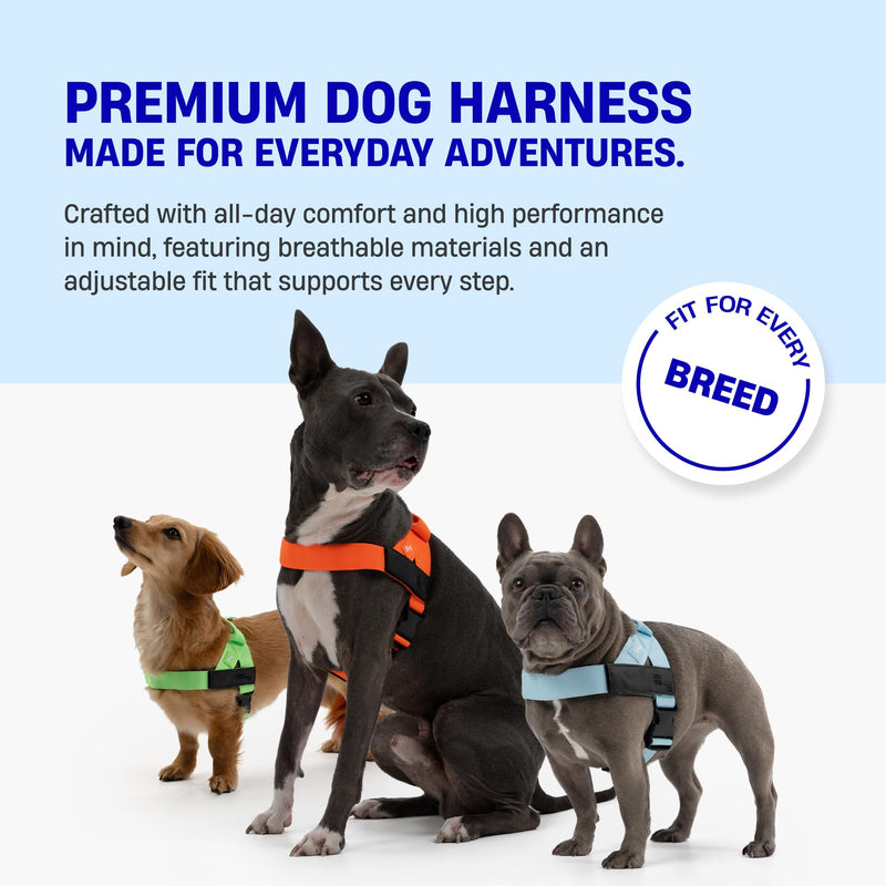 DF Co. Dog Harness | Chafe Resistant Webbing, Adjustable Neck & Chest, and Heavy Duty D-Ring | Sturdy, Comfortable, Easy to Use | Neon Green, Size XXS XX-Small - PawsPlanet Australia