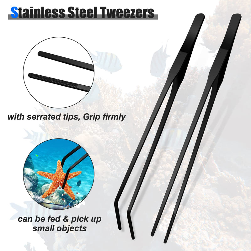 2 Pieces Aquarium Coral Feeder with 2 Pieces Stainless Steel Straight and Curved Feeding Long Tweezers, Acrylic Coral Spot Feeder Long Tube Reptile Feeding Tools for Aquatic Plant Lionfish Marine Fish