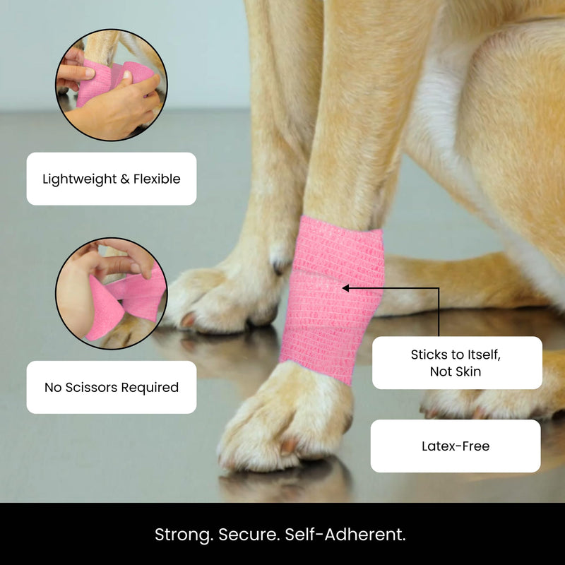 Juvale Self-Adherent Cohesive Bandage Wrap - Joint Support & Vet Wrap for Horses - Versatile First Aid & Pet Bandage - Athletic Compression & Stretch Tape - 3 in x 6 yd, Pack of 12, 6 Colors 3 Inch x 6 Yards - PawsPlanet Australia