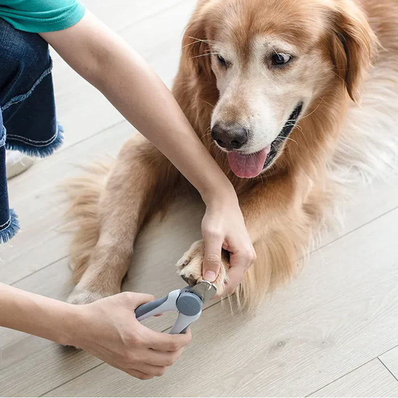 Pet Nail Clipper - Pet Grooming Tool for Nail Clipping and Trimming - Suitable for Dogs and Cats, Equipped with a Safety Guard and Razor Sharp Blade for Precision - plus a Bonus Free Nail File (Blue) - PawsPlanet Australia