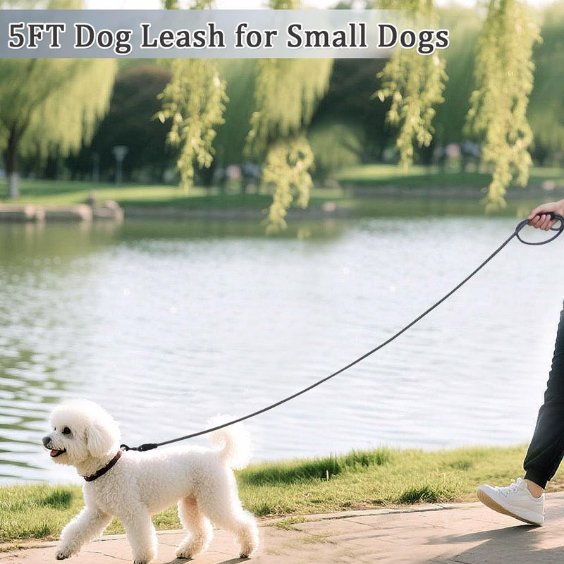WYuZe 5ft Puppy Leash for Small Dogs, 1/4" Thin Rope Dog Leash with Easy to Use Hook, Chihuahua/Yorkie/Toy Breed Lightweight Leashes 10 Colors, Pink Purple 5 FT (3~18 lbs) - PawsPlanet Australia