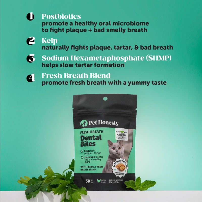 Fresh Breath Dental Bites for Cats – Crunchy & Creamy Cat Dental Treats for Fresh Breath, Tartar & Plaque Control – Dual-Texture Cat Oral Care Bites for Bright Teeth & Healthy Gums – 90 Day Supply - PawsPlanet Australia