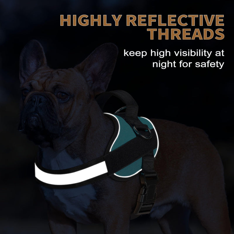 Haapaw Essential Dog Harness, No Pull Pet Vest with 3 Leash Clips, No Choke, Reflective, Adjustable and Padded, for Easy Walking and Training for Medium Dogs(M, Blue) M - PawsPlanet Australia