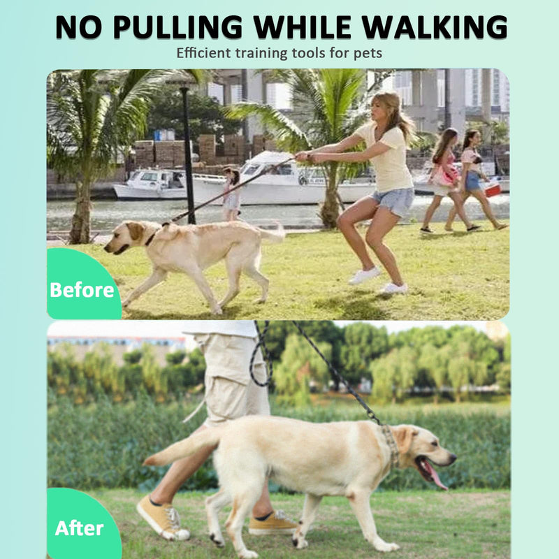 Dog Collar with Quick Release Buckle for Small Medium Large Dogs (S(14-17" Neck, 2.25mm)) S(14-17" Neck, 2.25mm) - PawsPlanet Australia