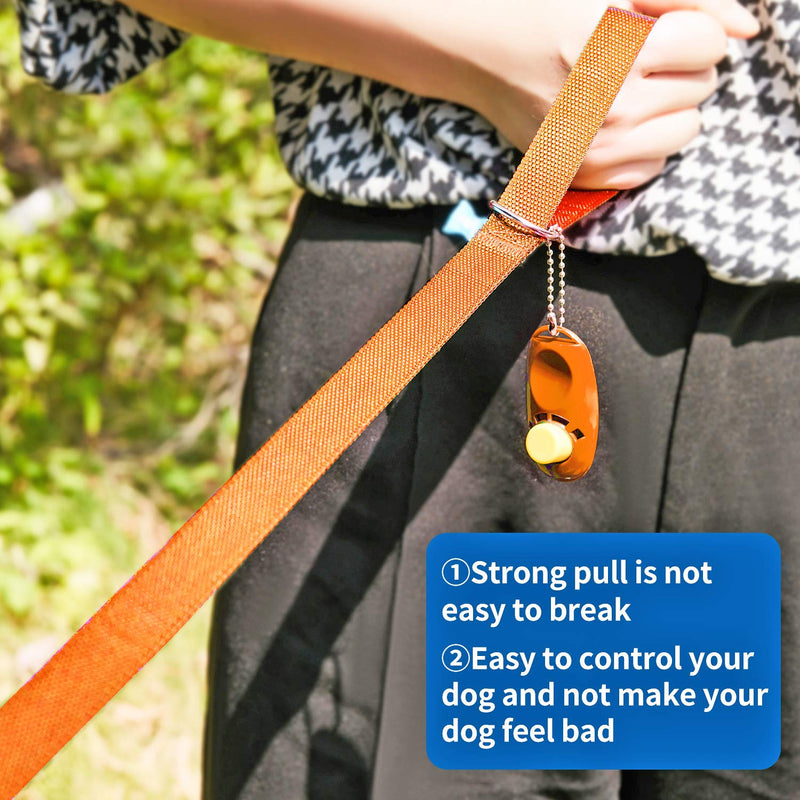 BAAPET 15/20/30/50/100 ft Long Dog Training Leash with Clickers for Small, Medium and Large Dogs or Cats (50 Feet, Orange) 50 Feet - PawsPlanet Australia
